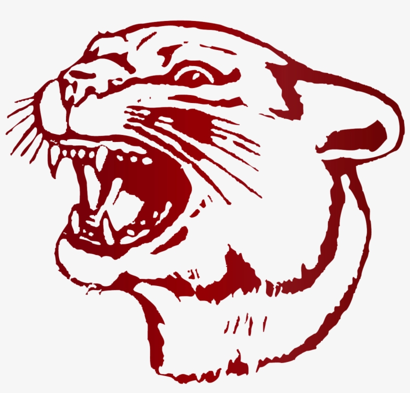 Cougar Athletics - South Decatur Cougars, transparent png #2410472