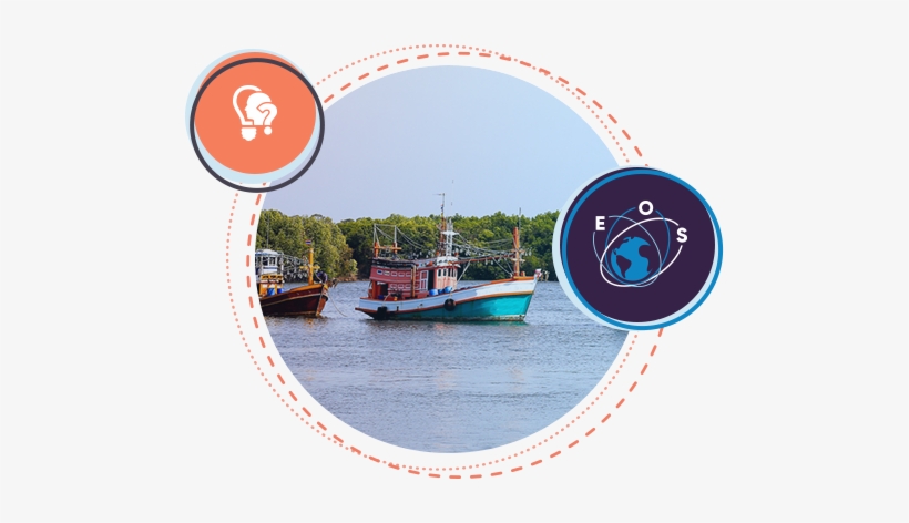 Fish Stocks - Fish, transparent png #2411513