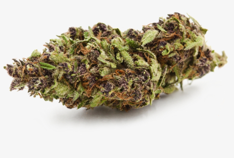 Tahoe O - G - - - Liverwort, transparent png #2413370