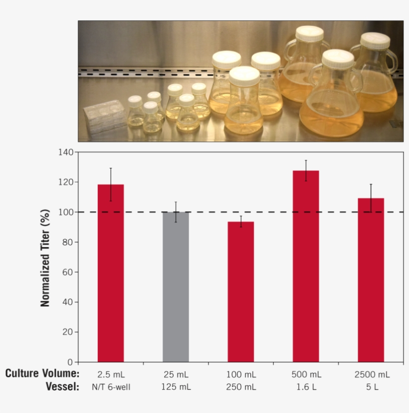Chogro Expression System Enables Broad Scalability, - System, transparent png #2415802