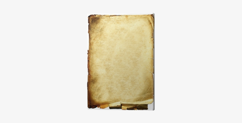 Photography, transparent png #2417909