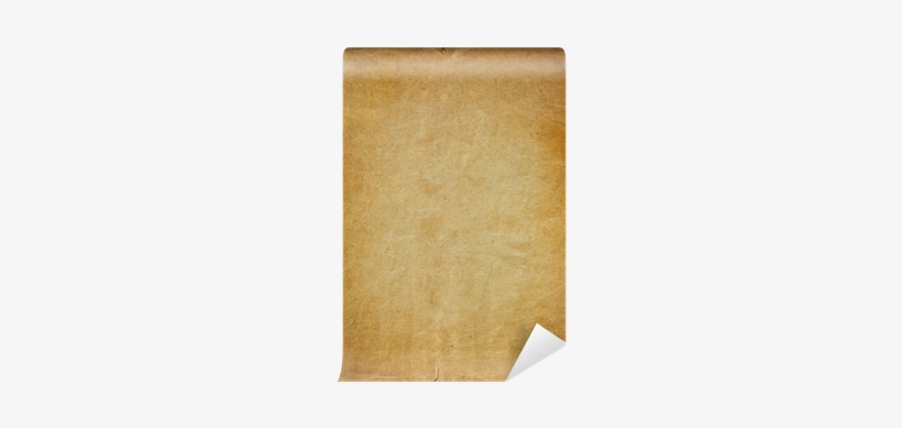 Wood, transparent png #2417970