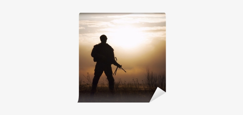 Stock Photography, transparent png #2419092