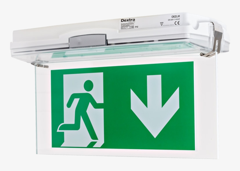 The Oez Luminaire Is A Surface Mounted Emergency Led - Fire Exit, transparent png #2419218