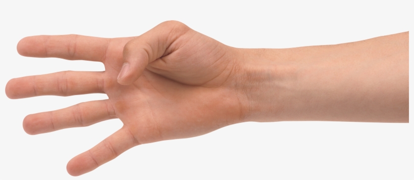 Hands Png, Hand Image Free - Hand Four Fingers Png, transparent png #2419919