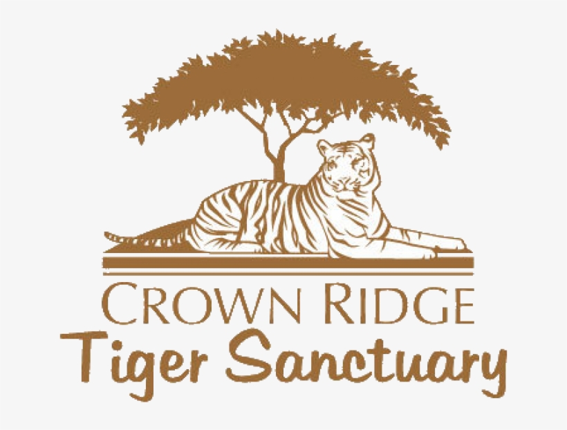 Visit Website - Herban Tea: Poet's Tea Party, transparent png #2421726