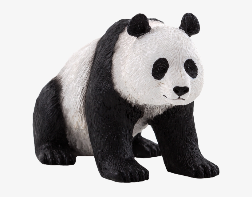 Oso Panda Png Stock - Animal Planet: Giant Panda, transparent png #2421953