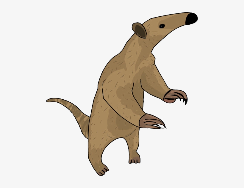 Oso Hormiguero - Oso Hormiguero En Caricatura - Free Transparent PNG Download - PNGkey Oso Hormiguero - Oso Hormiguero En Caricatura - Free Transparent PNG Download - PNGkey