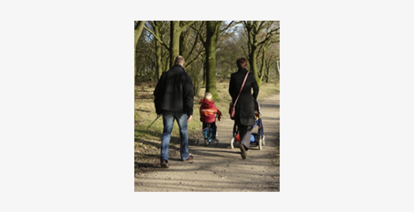 Idaho Legal Aid Services, Inc - Dog Hiking, transparent png #2422883