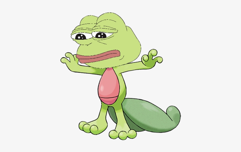 Treecko Pepe - Pokemon Xy Tipo Planta, transparent png #2423947
