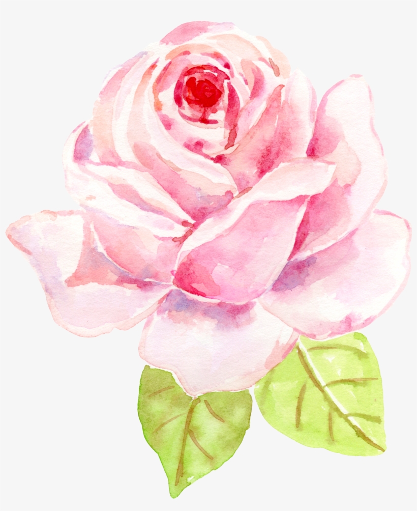 0 素材48 水彩玫瑰 Free Transparent Png Download Pngkey 0 素材48 水彩玫瑰 Free Transparent Png Download Pngkey
