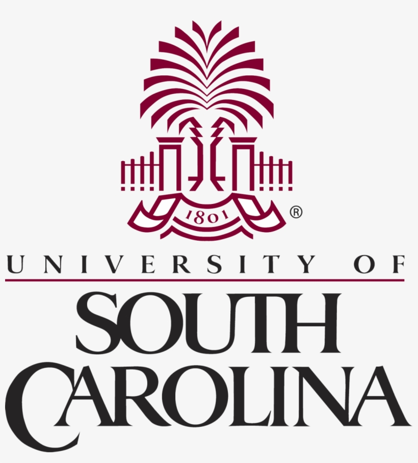 University Of South Carolina - University Of South Carolina White, transparent png #2425984