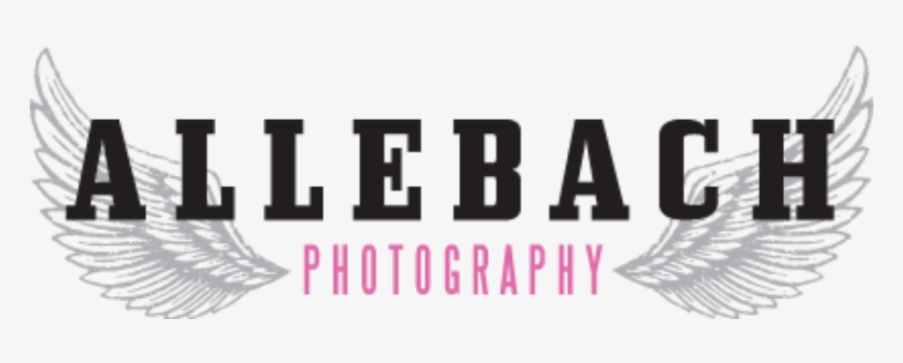Allebach Photography - Bride, transparent png #2427179