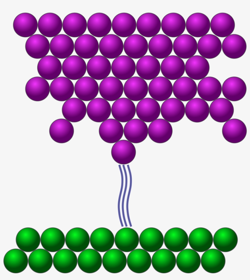 Scanning Tunneling Microscope - Scanning Tunneling Microscope Report, transparent png #2427591