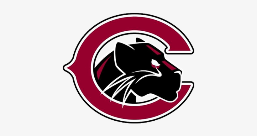 Chapman Panthers - Crone Panthers, transparent png #2428065