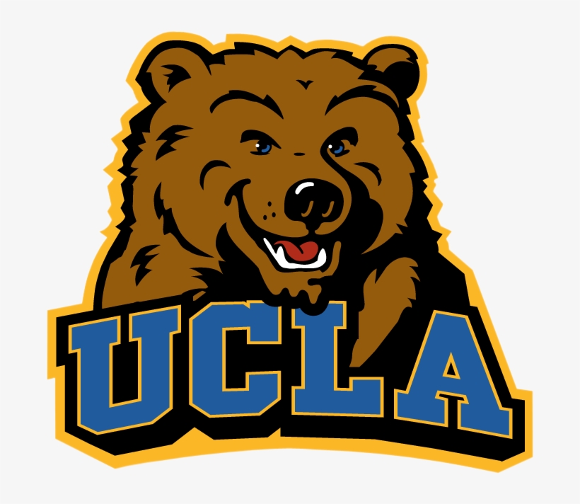 The National Center For Research On Evaluation, Standards, - Ucla Bruins Logo, transparent png #2428362