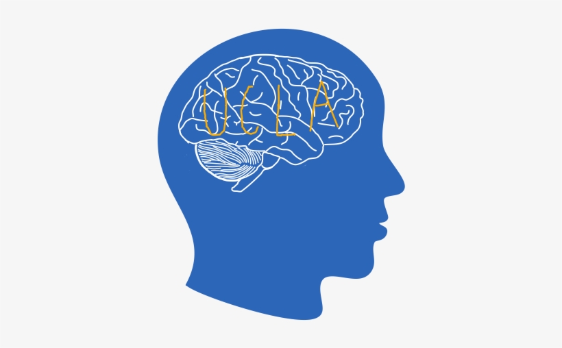 Uclasynapse@gmail - Com - Illustration, transparent png #2428866