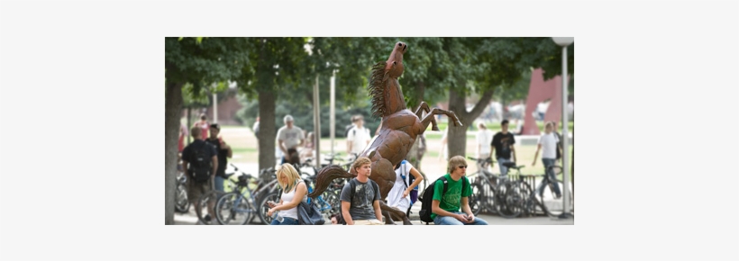 The Boise State Marketplace Provides Campus Organizations - Boise, transparent png #2429487
