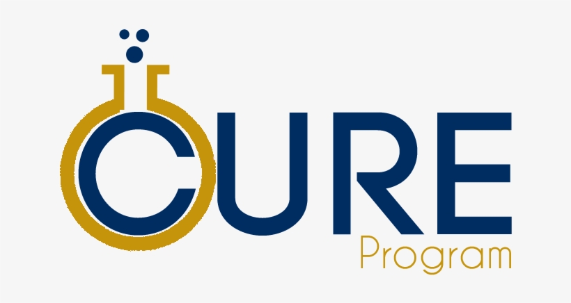 Coulter Undergraduate Research Excellence Program - Cure Fiu, transparent png #2430594