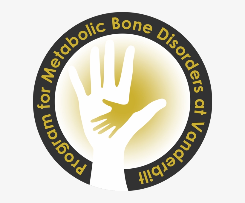 The Program For Metabolic Bone Disorders At Vanderbilt - New Standard Public School Raebareli Logo, transparent png #2430643