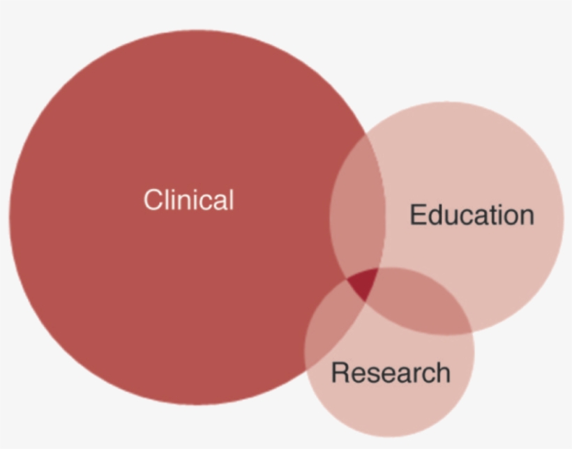 Amc2 - Academic Medical Center, transparent png #2432249