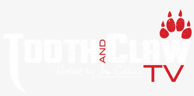 Join The Wired Outdoors Team As We Bring You A Semi - Television, transparent png #2432517