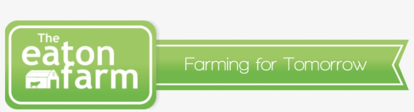 Logo - Turkey Meat, transparent png #2432996