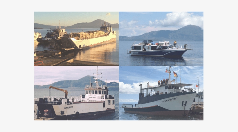 Logistics & Shipping Operations, transparent png #2434101