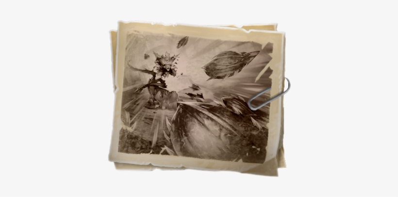 Driftwood, transparent png #2434569