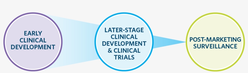 Clinical Drug Dev Web Graphic Transparent Bkgd - Graphics, transparent png #2434685