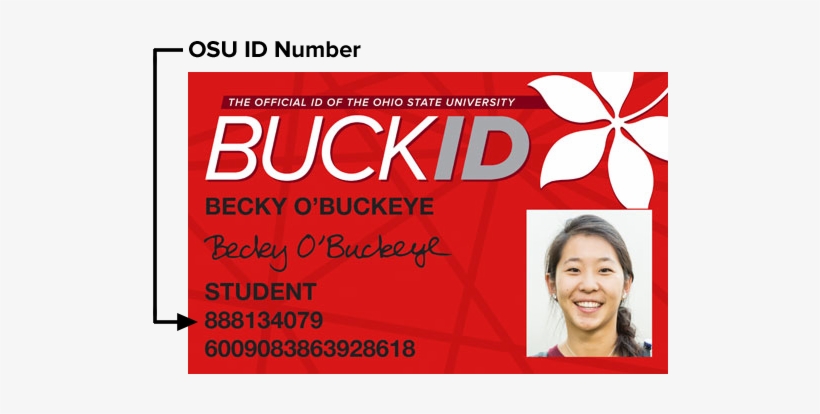 Osu Buckid, transparent png #2436976