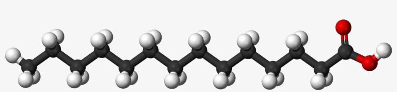 File - Myristic Ac - Fatty Acid Molecule, transparent png #2437120