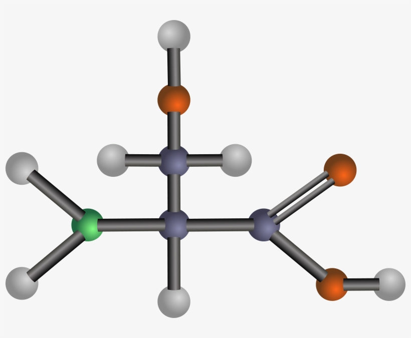 Serine - Amino Acids Clipart, transparent png #2437146