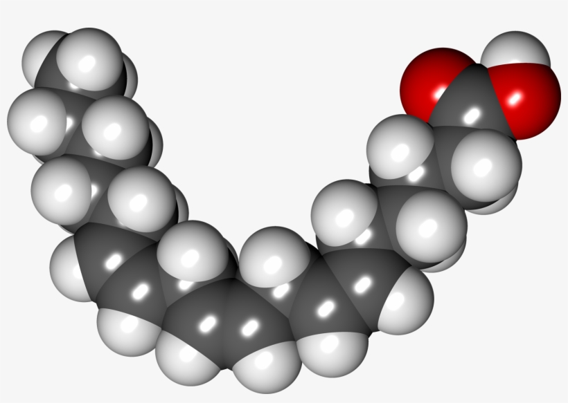 Gamma Linolenic Acid - Polyunsaturated Fatty Acid Png, transparent png #2437473