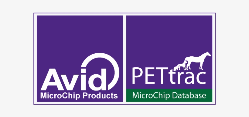 Avid / Pettrac Are The Main Ndwa Sponsor - Database - Free Transparent ...