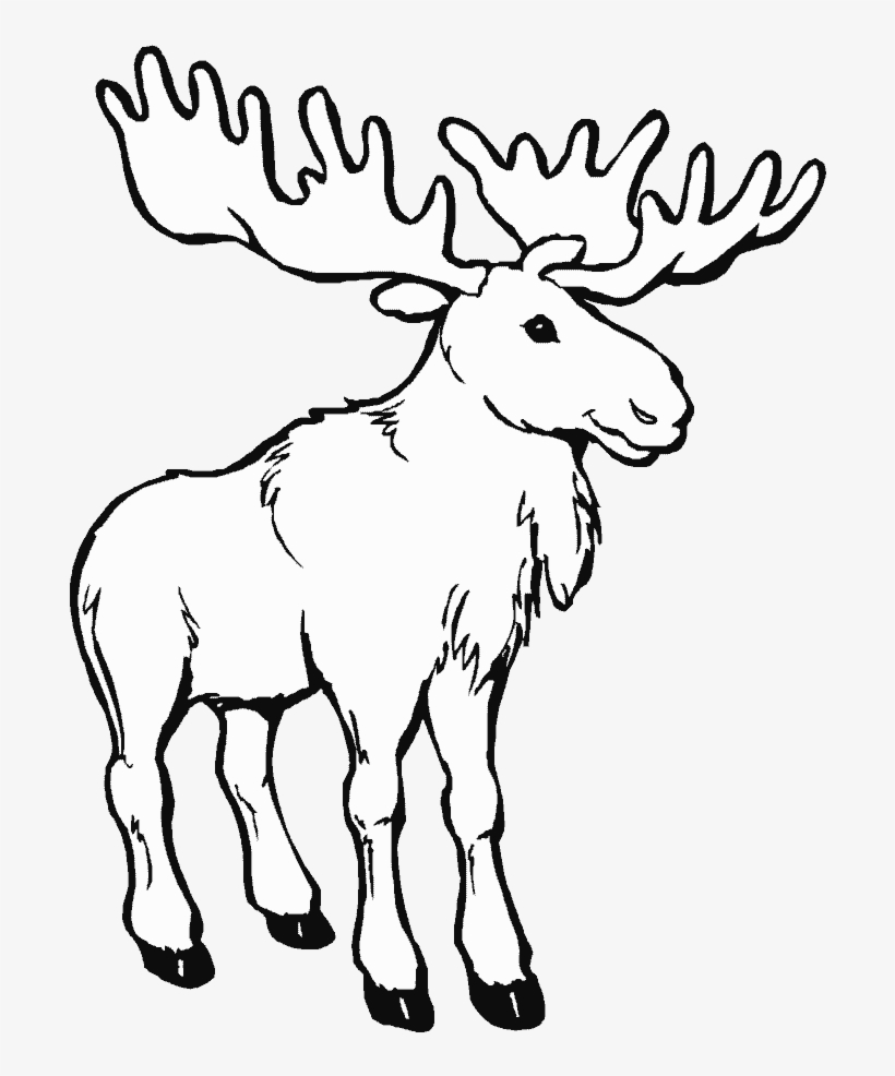 Png Library Animals Printable Coloring Pages Page - Moose Coloring Pages, transparent png #2437857