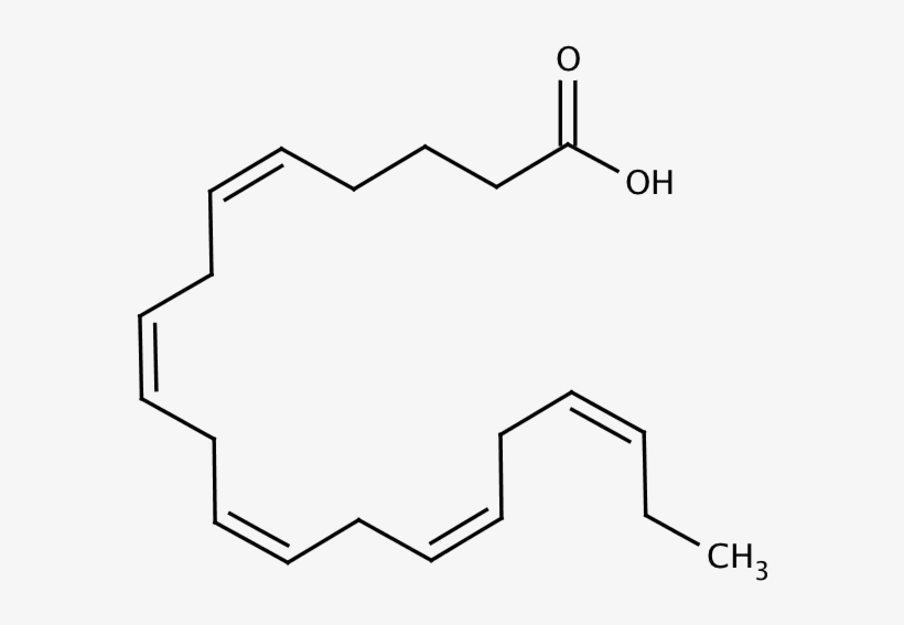 Structure For Cis 5,8,11,14,17 Eicosapentaenoic Acid - Cis 5 8 11 14 17 Docosapentaenoic Acid, transparent png #2438127