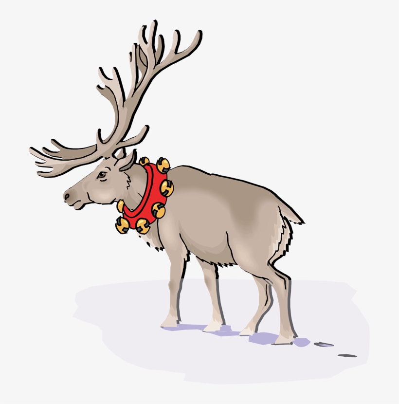 Caribou Reindeer - Reindeer, transparent png #2438294