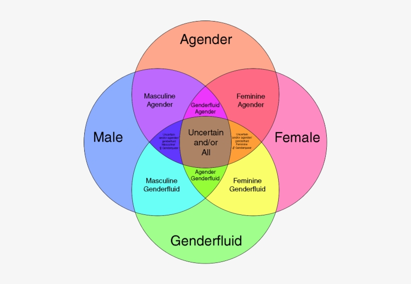 Gender Id Chart - Gender Spectrum Explained, transparent png #2438406