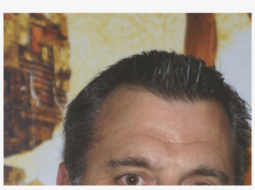 Bethesda's New Order - Bethesda Softworks, transparent png #2439226