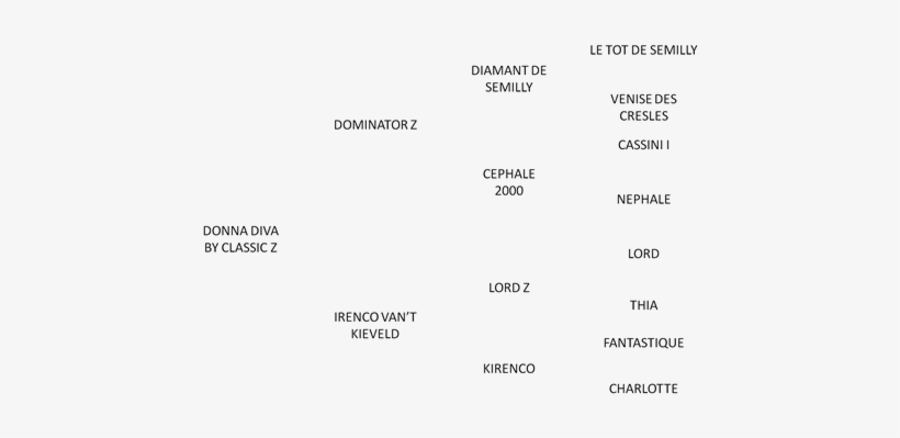 Pedigree Donna Diva - Donna Diva, transparent png #2439843