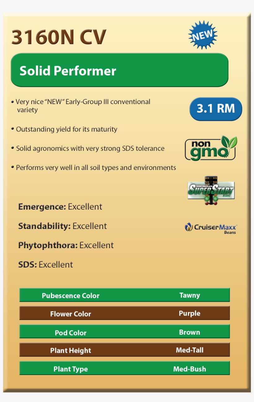 Non-gmo Soybean Varieties - Libertylink, transparent png #2439975