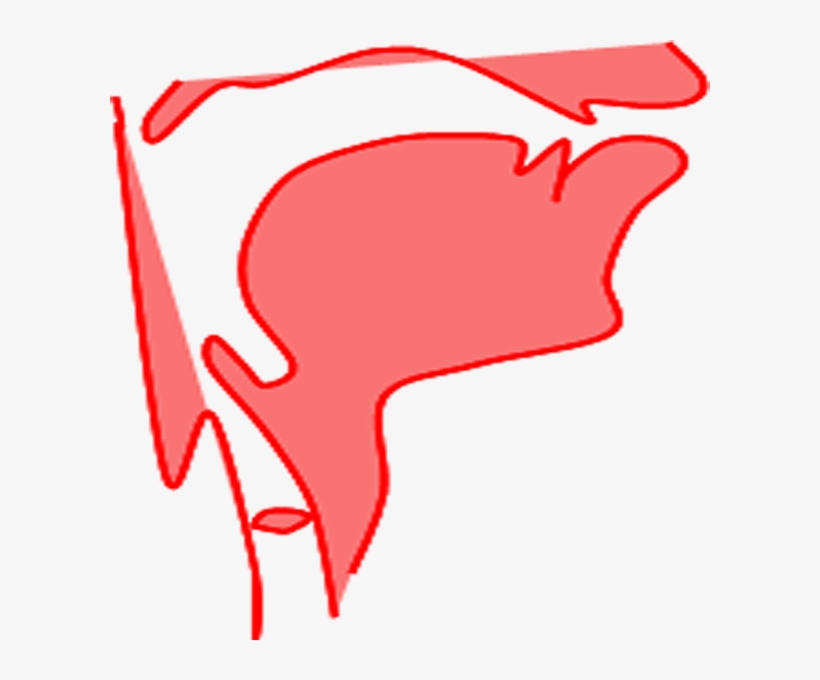 Indexical Properties In Speech - Perception, transparent png #2440108