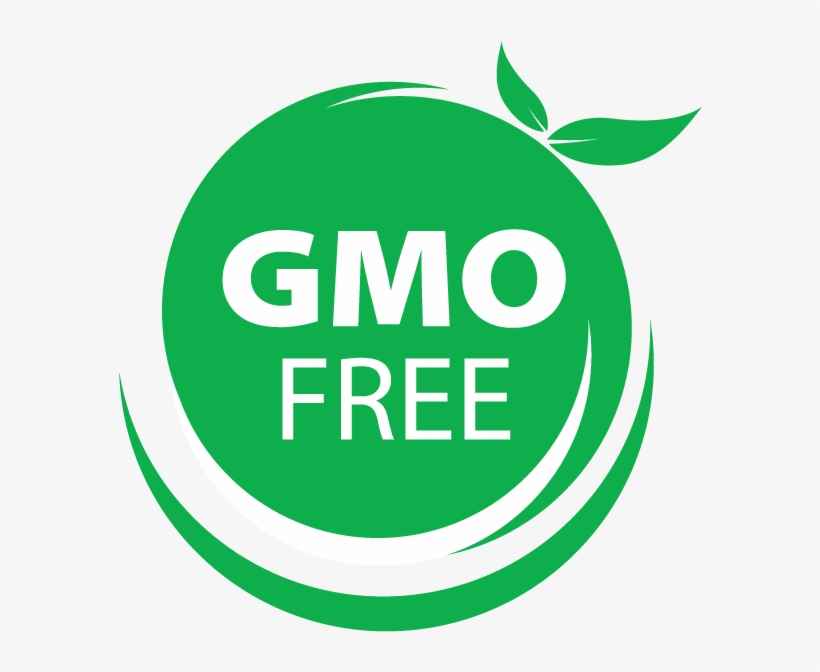 100% Non-gmo Certified - Gmo Free Vector, transparent png #2440300