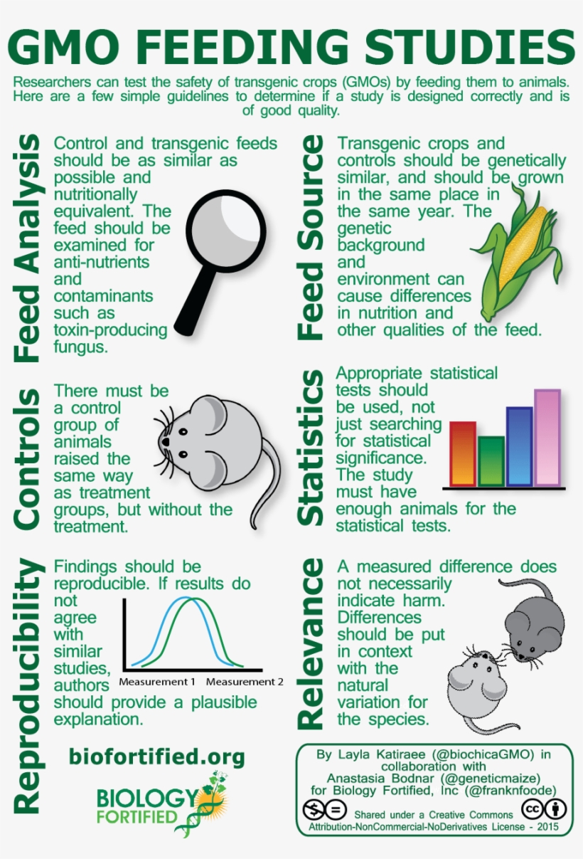 Animal Feeding Study Png 80dpi - Studies Of Gmos, transparent png #2440397