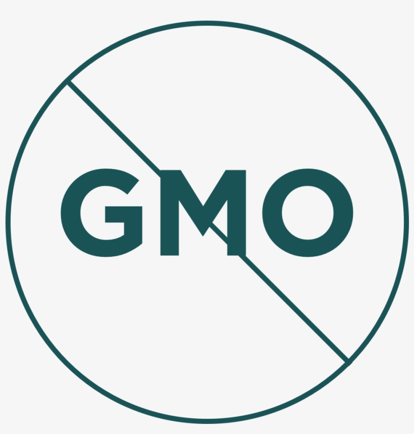 No Gmo's & Hormones - Horizon Observatory, transparent png #2440462