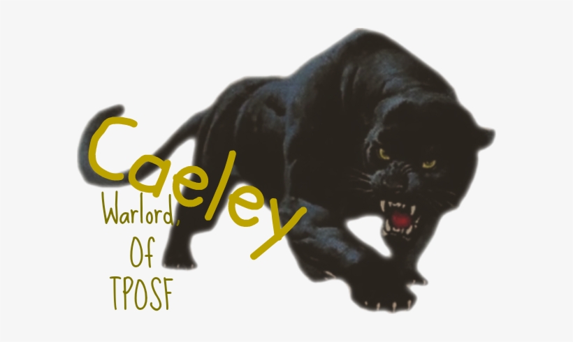 Black Puma Psd 430631 - Cat Yawns, transparent png #2440561