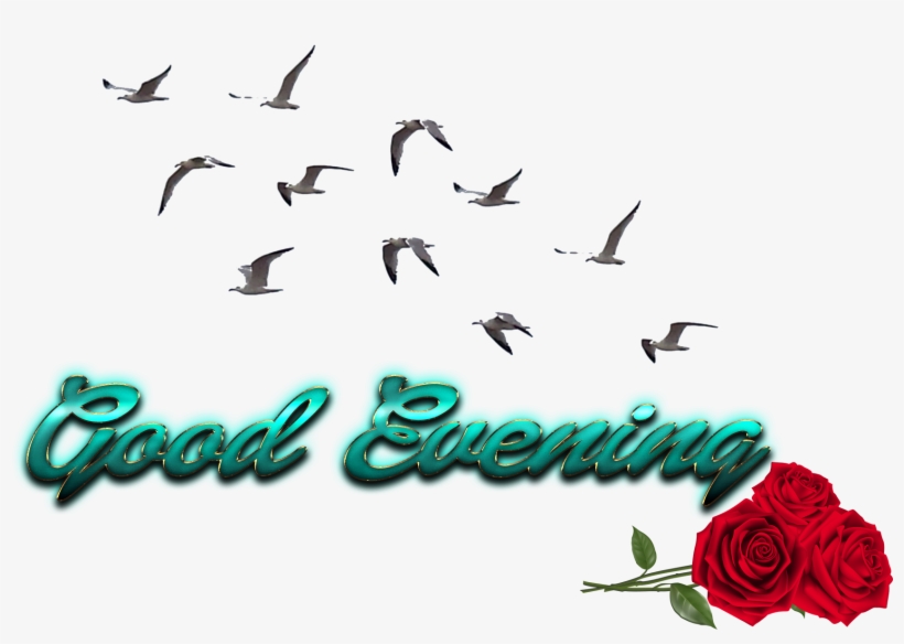 Good Evening Free Png Image - Cb Birds Png Picsart, transparent png #2441714