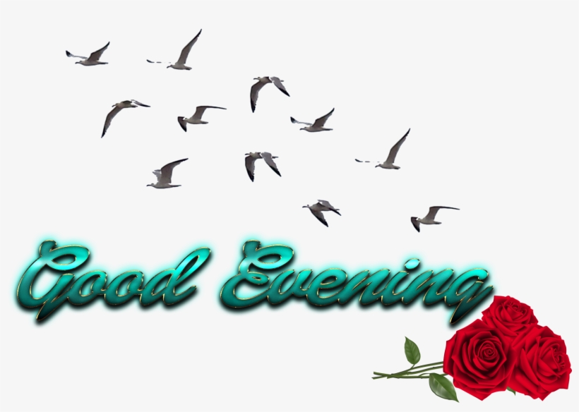 Good Evening Free Png Image - Cb Birds Png Picsart, transparent png #2441714