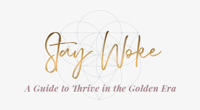 Staywoke - Portable Network Graphics, transparent png #2442317